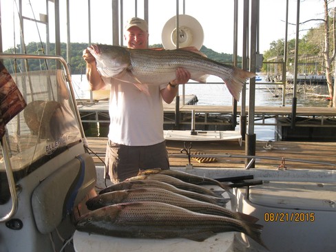 Nice Striped Bass